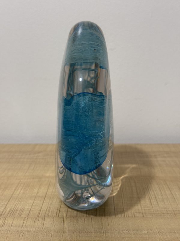 Acquario Meduse (Blue Jellyfish) - Image 2