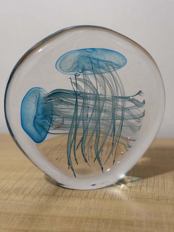 Acquario Meduse (Blue Jellyfish) - Image 4