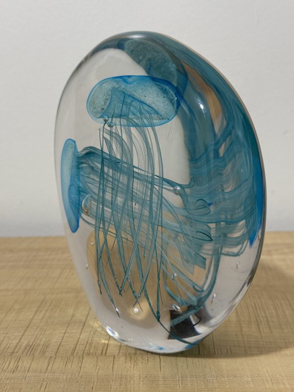 Acquario Meduse (Blue Jellyfish) - Image 3